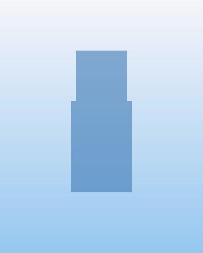 团队成员
